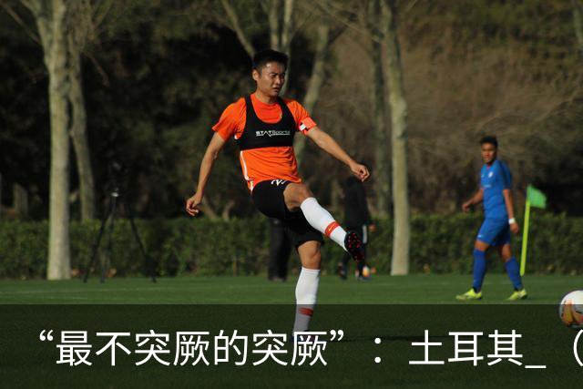 “最不突厥的突厥”：土耳其 （中土网友大战系列之一）