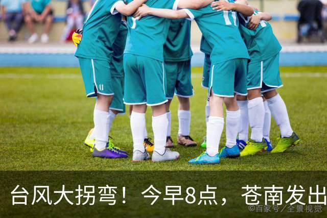 台风大拐弯！今早8点，苍南发出通知！