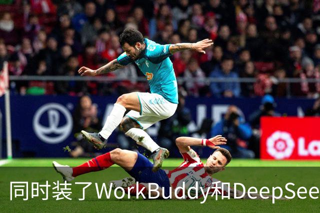 同时装了WorkBuddy和DeepSeek，试用5天之后，我卸载了其中一个