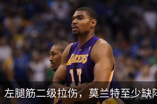 左腿筋二级拉伤，莫兰特至少缺阵四周