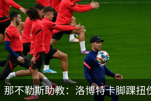 那不勒斯助教：洛博特卡脚踝扭伤将做检查；下一场踢尤文不好踢