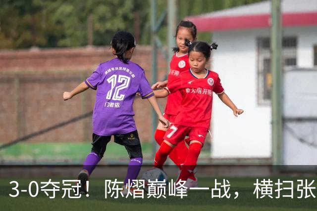 3-0夺冠！陈熠巅峰一战，横扫张本美和原因曝光，王励勤没看错她